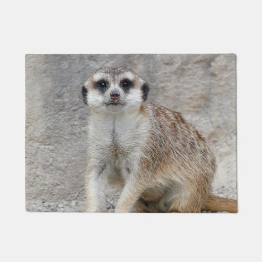 Paillasson Meerkat 134 (Devant)