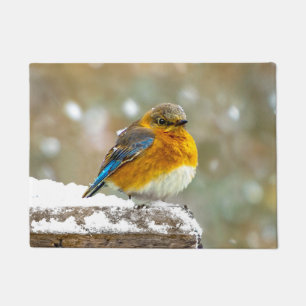 Paillasson Merlebleu de l'Est dans la neige - Photographie or