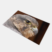 PAILLASSON MERLIN FALCON OISEAU DE PREY (Incliné)