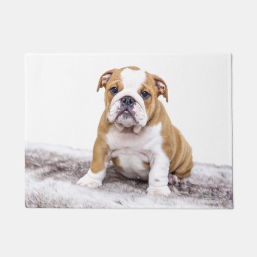 Paillasson Mignon chiot bouledogue (Devant)