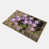 Paillasson Mignons crocus de printemps (Incliné)