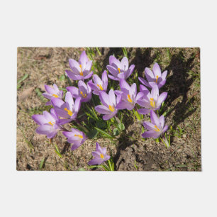 Paillasson Mignons crocus de printemps