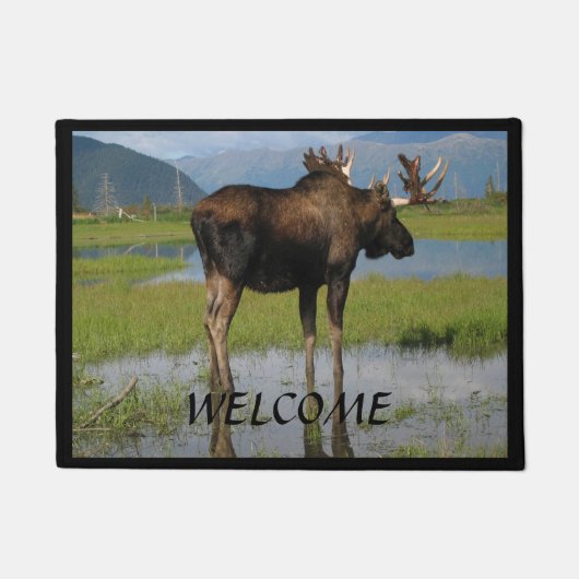 Paillasson Moose taureau de l'Alaska avec cornes en rack Bien (Devant)