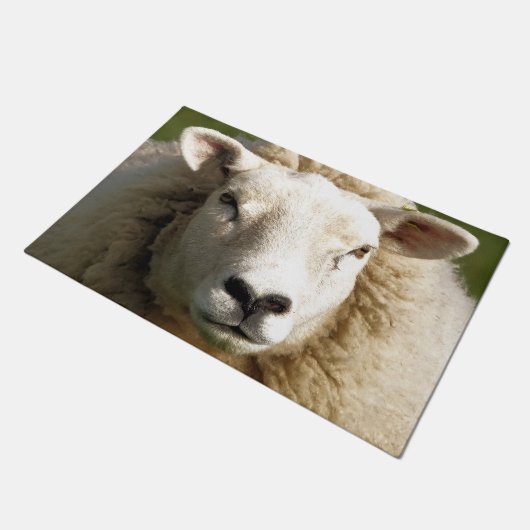 PAILLASSON MOQUETTE (Incliné)