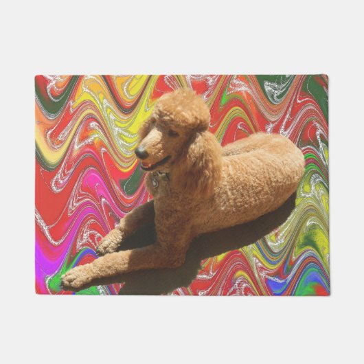PAILLASSON NATTE, CANICHE ROUGE (Devant)