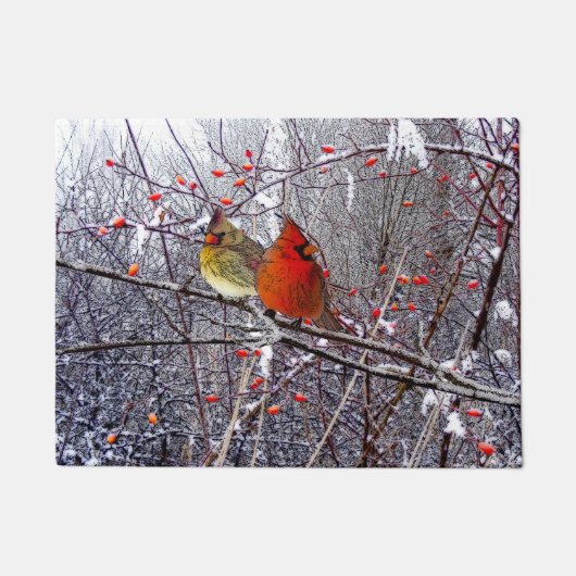 Paillasson Natte cardinale de Noël (Devant)