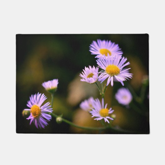 Paillasson natte de marguerite de fleabane (Devant)