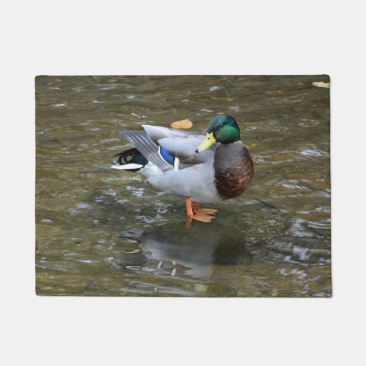 Paillasson Natte de pose de canard de Mallard (Devant)