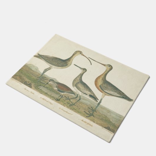 Paillasson Oiseaux de marais Courlis Oiseaux (Incliné)