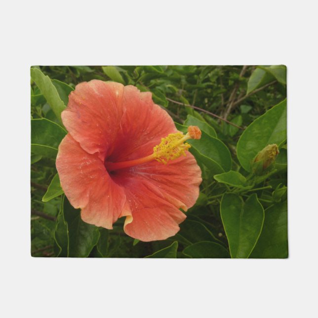 Paillasson Orange Hibiscus Fleur Tropical Floral (Devant)