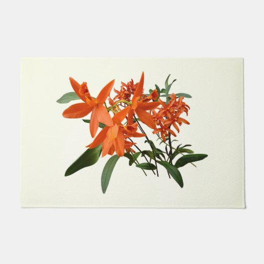 Paillasson Orchidée Epidendrum orange (Devant)
