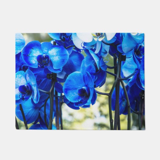 Paillasson Orchidées bleues (Devant)