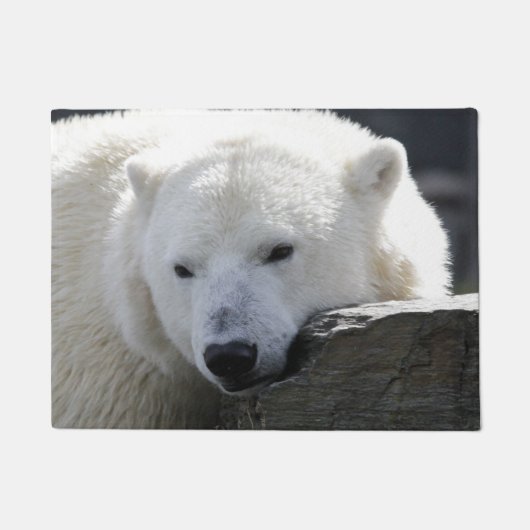 Paillasson Ours 002 (Devant)