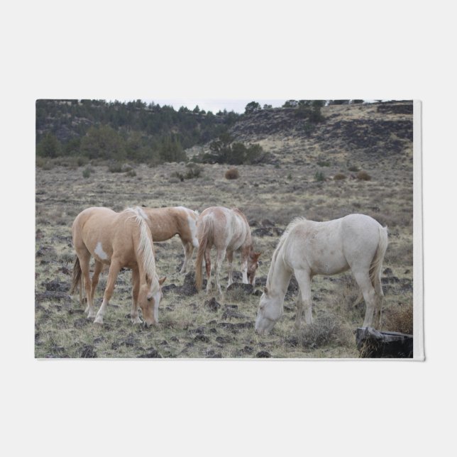 Paillasson Paillette de cheval (Devant)