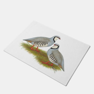 Paillasson Paire de perdrix de Chukar
