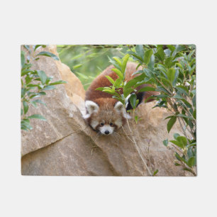 Paillasson Panda rouge photo, animaux 0233.