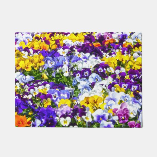 Paillasson Pansies (Devant)