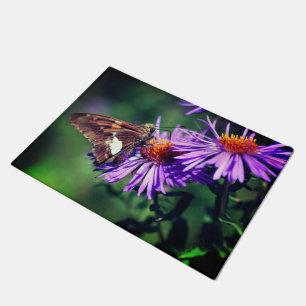 Paillasson Papillon Lady Peint Sur Fleur Aster Sauvage