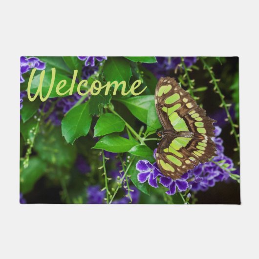 Paillasson Papillon malachite sur fleur violette (Devant)