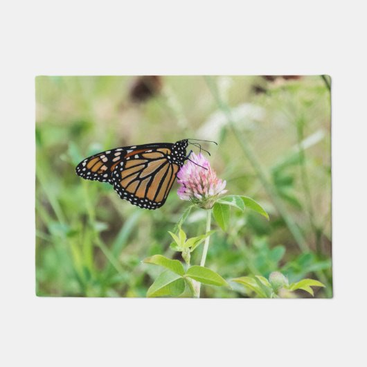 Paillasson Papillon Monarque (Devant)