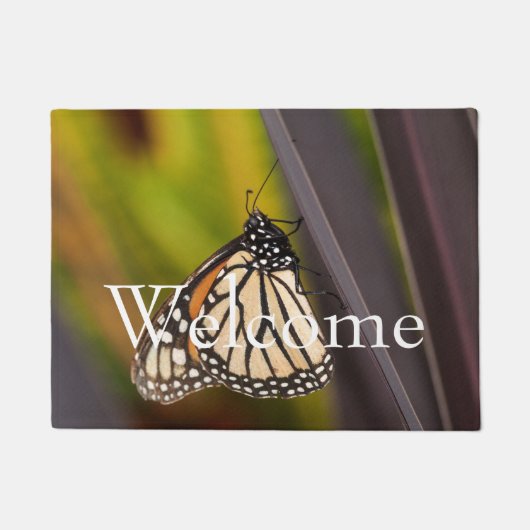 Paillasson Papillon monarque sur Agave (Devant)