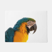 Paillasson Parrot coloré (Devant)
