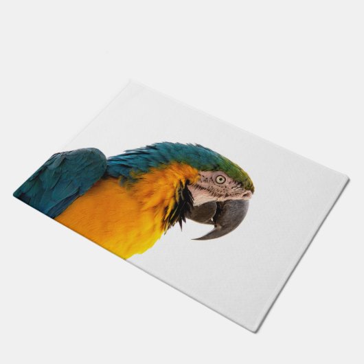 Paillasson Parrot coloré (Incliné)