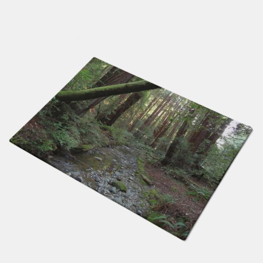 Paillasson Paysage de la forêt de Muir Woods Stream (Incliné)