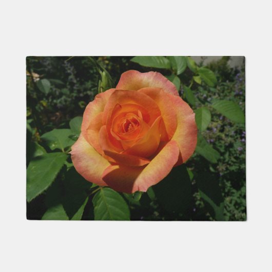 Paillasson Peach Rose Orange Floral Photographie (Devant)