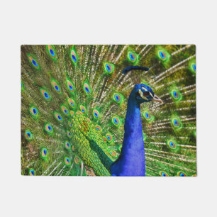 Paillasson Peacock Bleu brillant