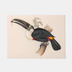 Paillasson Peinture animalière d'antiquités Toucans