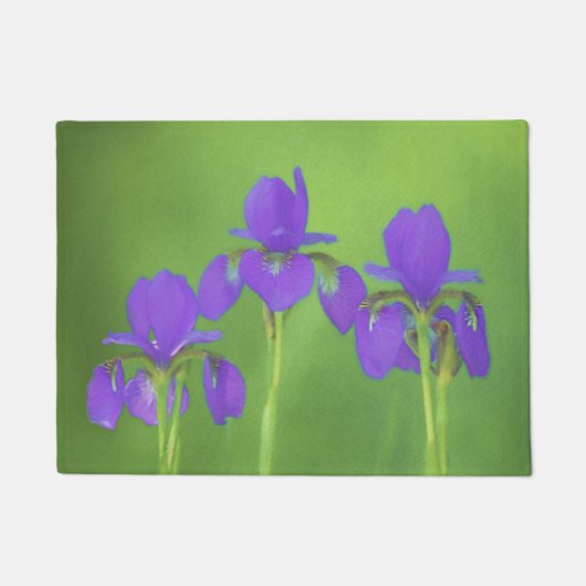 Paillasson Peinture Iris Violet - Art Fleur Originale (Devant)