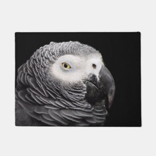 Paillasson Perroquet Gris Africain