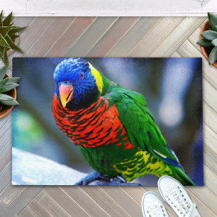 Paillasson Perroquet loriquet rouge bleu vert photographié av