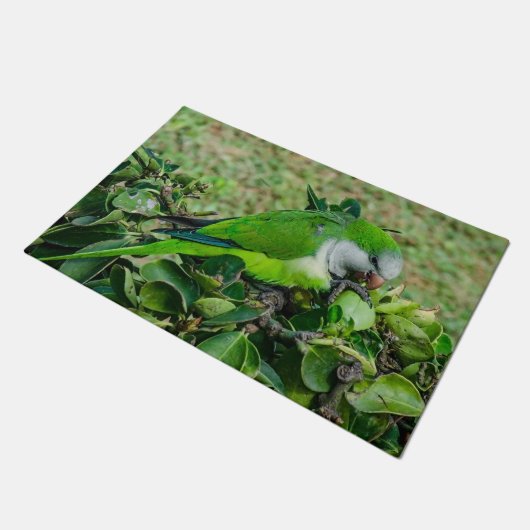 Paillasson Perroquet vert (Incliné)