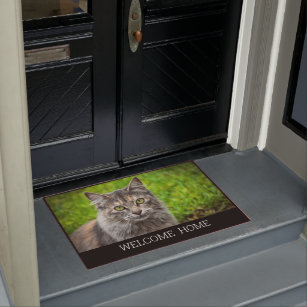Paillassons Humour Chat En Zazzle Be Paillassons Humour Chat En Zazzle Be
