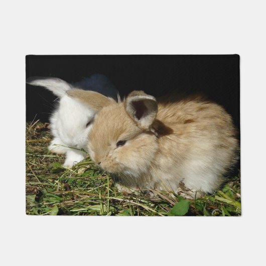 Paillasson Petit lapin moelleux (Devant)