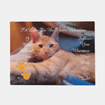 Photo de chat avec empreinte de patte pour la Sain