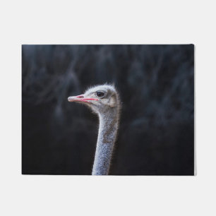 Paillasson Photographie d'autruche