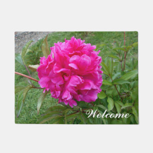 Paillasson Pic rose rayonnant