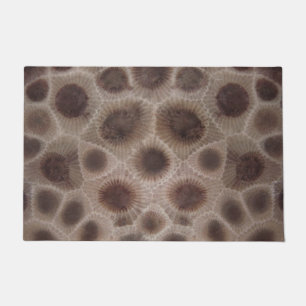 Paillasson Pierres Petoskey Michigan State stone
