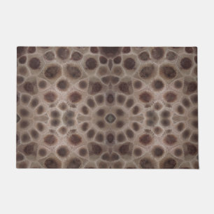 Paillasson Pierres Petoskey Michigan State stone