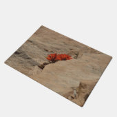 Paillasson Pinceau indien en roche à Sion (Incliné)