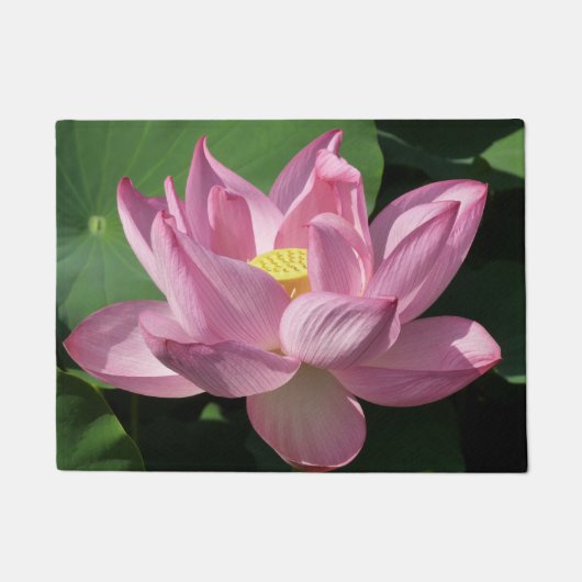 Paillasson Pink Lotus Flower IV (Devant)