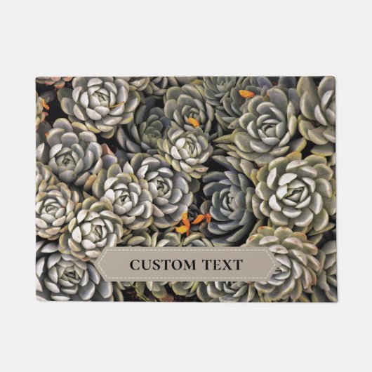 Paillasson plantes succulents dans les tons gris et marron Po (Devant)