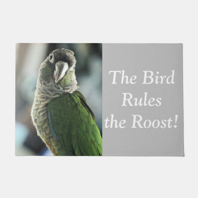 Paillasson Plus de faux hérisson (Devant)