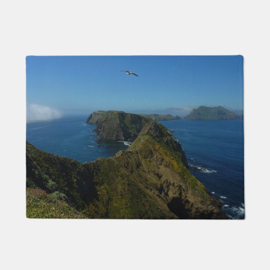 Paillasson Point d'inspiration I d'Anacapa aux îles Anglo-Nor (Devant)