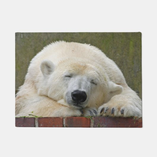Paillasson PolarBear 001 (Devant)