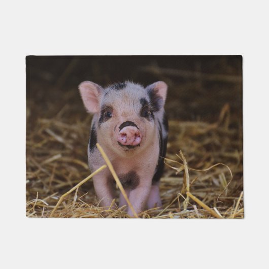Paillasson Porc mignon doux (Devant)