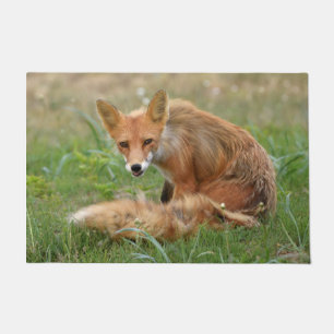 Paillasson Porte de 24" x 36" de renard